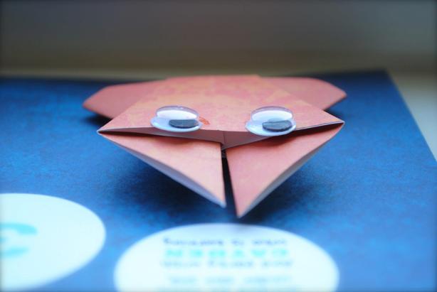 457986_10151375770540348_1454711583_o