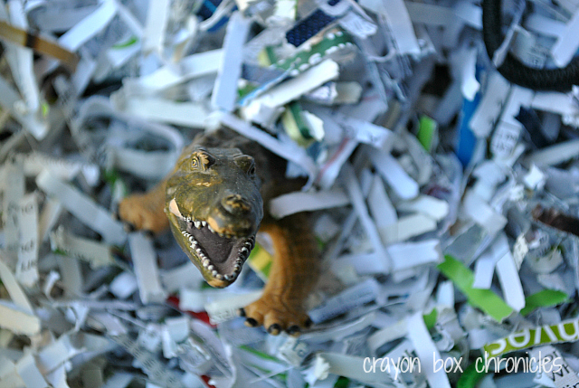 Reptile Shredded Paper Sensory Bin by Crayon Box Chronicles