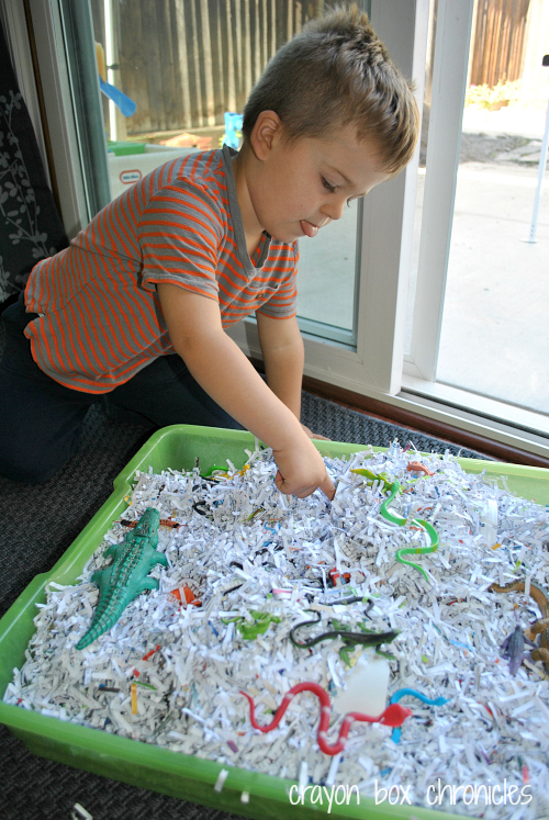 Reptile Shredded Paper Sensory Bin by Crayon Box Chronicles