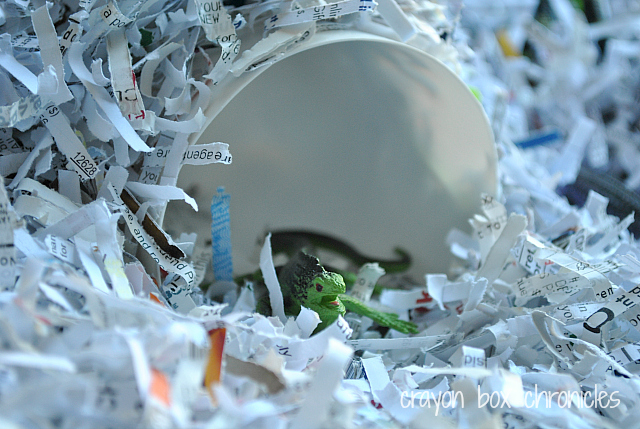 Reptile Shredded Paper Sensory Bin by Crayon Box Chronicles