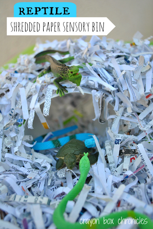 Reptile Shredded Paper Sensory Bin by Crayon Box Chronicles