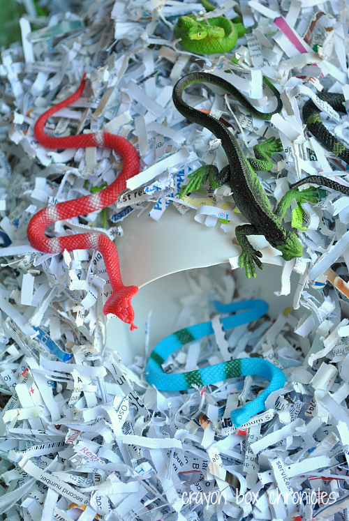 Reptile Shredded Paper Sensory Bin by Crayon Box Chronicles