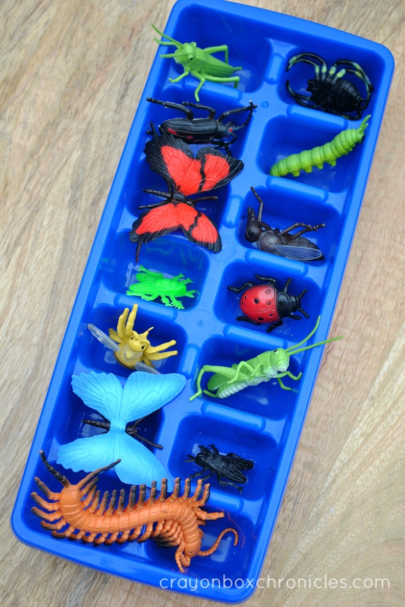 Insects inside ice cube tray for painting